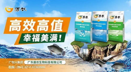 豆粕玉米持續聯動上漲，飼料廠壓力大增 江門、佛山、茂名、海南水產料全線上漲，防腐劑也未能幸免