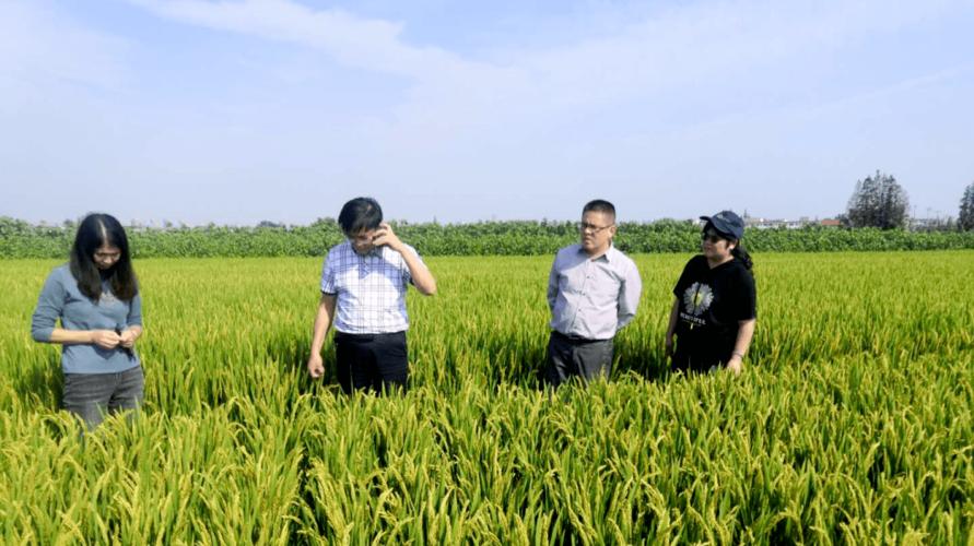南通市農業新技術推廣協會參加江蘇愛佳福如耕地質量修復